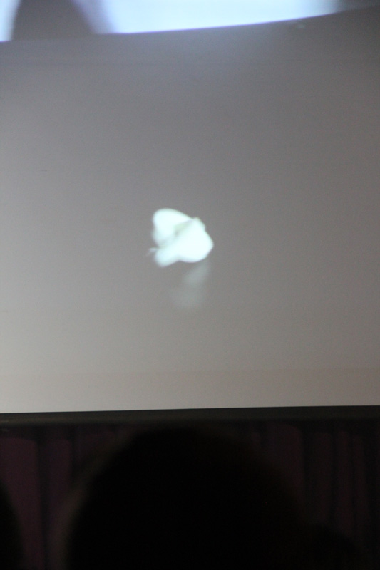 slideshow